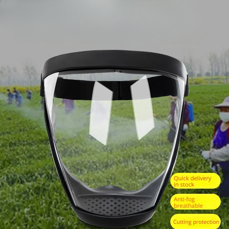 Transparent Full Faceshield Re - Anti Pollution Mask 评论和价格
